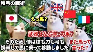 【戦場の最強武器】サムライが刀より弓を選んだ理由#猫マニ #猫ミーム
