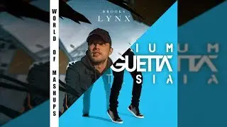 David Guetta ft. Sia vs Brooks - Titanium vs Lynx (David Guetta Mashup) [Extended Mix]