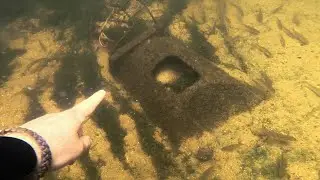 WHAT HAVE I FOUND??? Underwater treasure hunting, swan rescue.