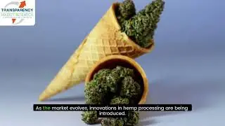 Hemp-Based Products Market Growth: Projected to Reach $27.7 Billion by 2034!