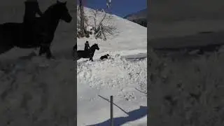Snowfall in Tirah valley Maidan my beautiful Home #snowfall #afridi #tirahvalley
