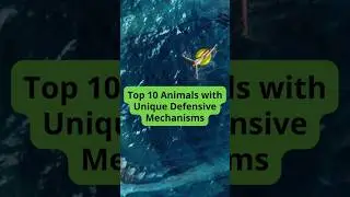 Top 10 Animals with Unique Defensive Mechanisms