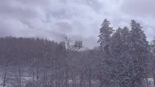 Quiet Journey | Winter Forest and Clouds — Niseko, Japan [4K]