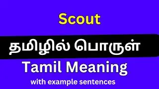 Scout meaning in Tamil/Scout தமிழில் பொருள்