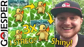 3x Shiny I STREG!! Charmander Community Day Classic (Dansk Pok&eacute;mon GO)