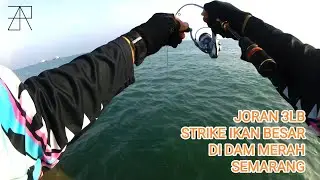 Mancing di Dam Merah Semarang Strike Full Babon ll Mancing Semarang