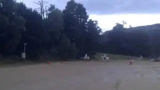 Hartley Holiday Farm   riding