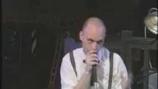 Shaking Ray Levis 