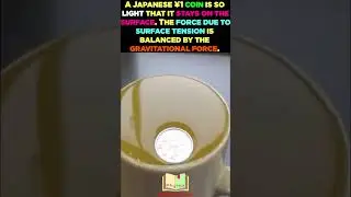 &yen;1 coin #surfacetension #gravitationalpull #balanced force #equilibrium #physics #physicsconcept