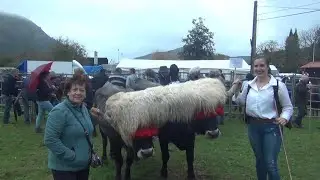 Feria de Ruente 31 10 2021