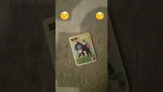 Bear cards collection