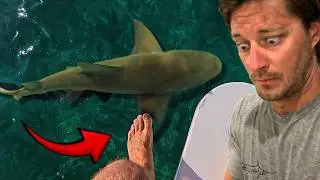 Can I Fish With Sharks All Around Me? {Catch Clean Cook}