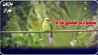 Sad Nature Poetry, Emotional Quotes, Beautiful Bird Cinematography, World Poetry with Subtitles, 