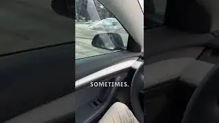Is White Interior in Model 3/Y Worth the $1,000 Upgrade?? 🤔💰