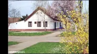 Vojvodina iz sićanja mojih - Ansambl Hajo
