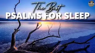 Psalms to Sleep | Ocean Waves | Audio Bible