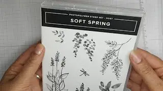 9 идей &mdash; советов по освоению НОВОГО набора штампов #stampinup #stampingtips #softspring