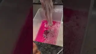 DIY PINK COLOR With Me💗 #dorsanee #dorsaneewig #dorsaneehair