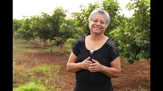 Senar/MS Transformando Vidas: Fruticultura