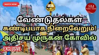 சென்னை மக்களின் அதிசய முருகன்&ndash;வடபழநி கோவில் தரிசனம்🔥| Vadapalani Murugan Temple🙏 | Powerful Murugan
