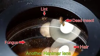 Another S### lens with fungus, dead insects, lint, and focusing issues.
