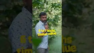 Dreaming of owning a lush paradise | V1 Realtys | 9843710234