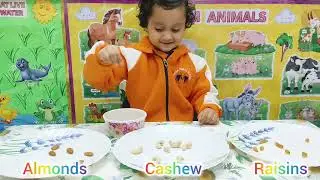Sorting of Dry Fruits Activity | Pre Nursery | Riviera Branch 
