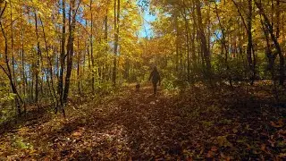 Fall Colors Without the Crowds! Horicon Marsh State Wildlife Area