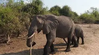Africa adventures 2025
