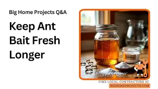 Borax Sugar-Bait Longevity Tips For Stored Ant Solution