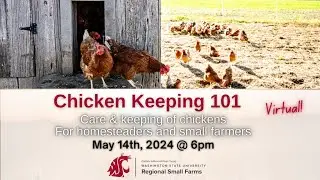 Chicken Keeping 101