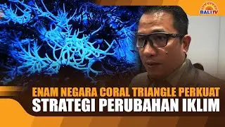 Six Coral Triangle Countries Strengthen Climate Change Strategies