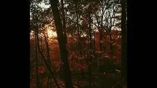 [FREE] no drums, sad indie acoustic guitar type beat - 'solid'