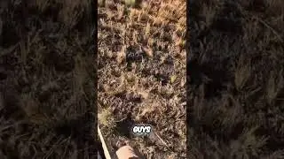 Hunting Goose: Double Kill! Watch This Epic Bird Hunt! #shorts