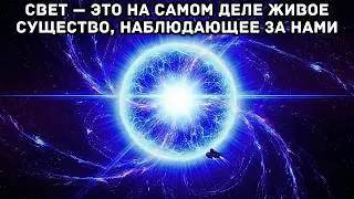 УЖАСАЮЩЕ: А что, если свет на самом деле — живое существо, наблюдающее за нами?