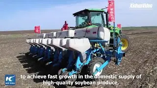 How U.S.-China trade frictions affect soybean farmers