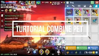 Ghostm Global &ndash; Rahasia Combine Pet