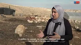 #قريب #PNN #CFI لا فرق بيننا وبين الرجال: نساء بني نعيم يحملن عبء البيت والأرض