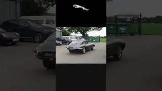 Jaguar E-Type  1964  #jaguar #jaguaretype #jag #jaguarcar #jaguarcars #etype
