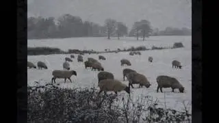 Brockham at its best