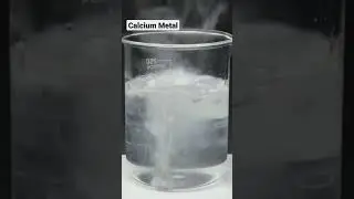REACTION OF CALCIUM WITH COLD WATER (IT REACTS MODERATELY TO FORM HYDROGEN) #MWES REACTIVITY SERIES