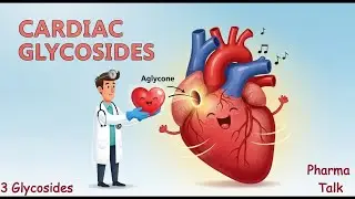 What Are Glycosides? | The Plant Compounds in Your Medicine Explained