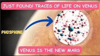 Unveiled: Life on Venus: Hidden Secrets of Life on Earth's Fiery Twin 🌋🔥