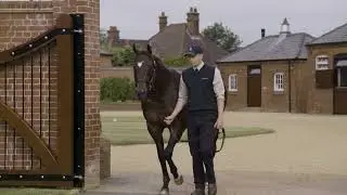 Juddmonte 2023 European Stallion Roster