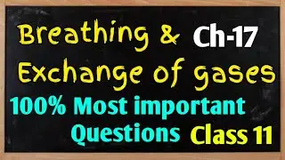 Breathing and exchange of gases Biology Class 11 Chapter 17! Most important Questions! CBSE ICSE KVS