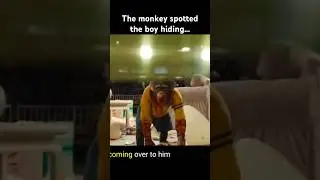 😱Crazy monkey kills everybody on set😳except#shorts#movierecapped