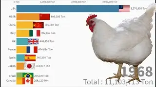 Top 10 largest chicken producers in the world (1960-2019) || Meat Production each year