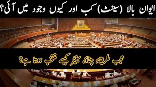 Senate Of Pakistan, Senate Election Procedure | Single Transferable Vote System | The Fact Sheet