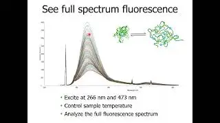 XTalks Webinar: Dive deep into AAV capsid stability & genome ejection with Uncle