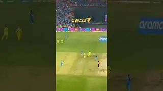Team Australia winning CWC23    😭😭 #cricket #cwc2023final
